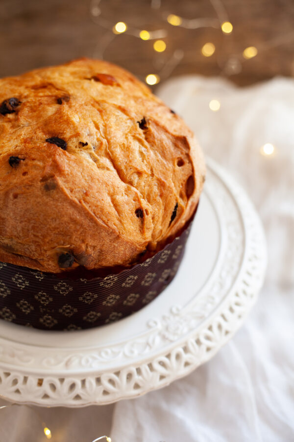 panettone artigianale